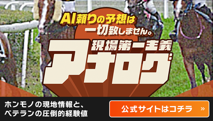 アナログ公式サイト